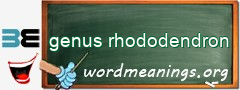 WordMeaning blackboard for genus rhododendron
